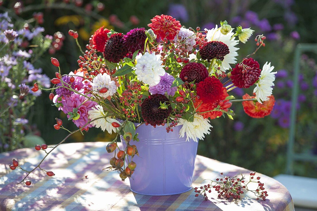 Strauss aus gemischten Dahlia (Dahlien) und Rosa (Hagebutten)