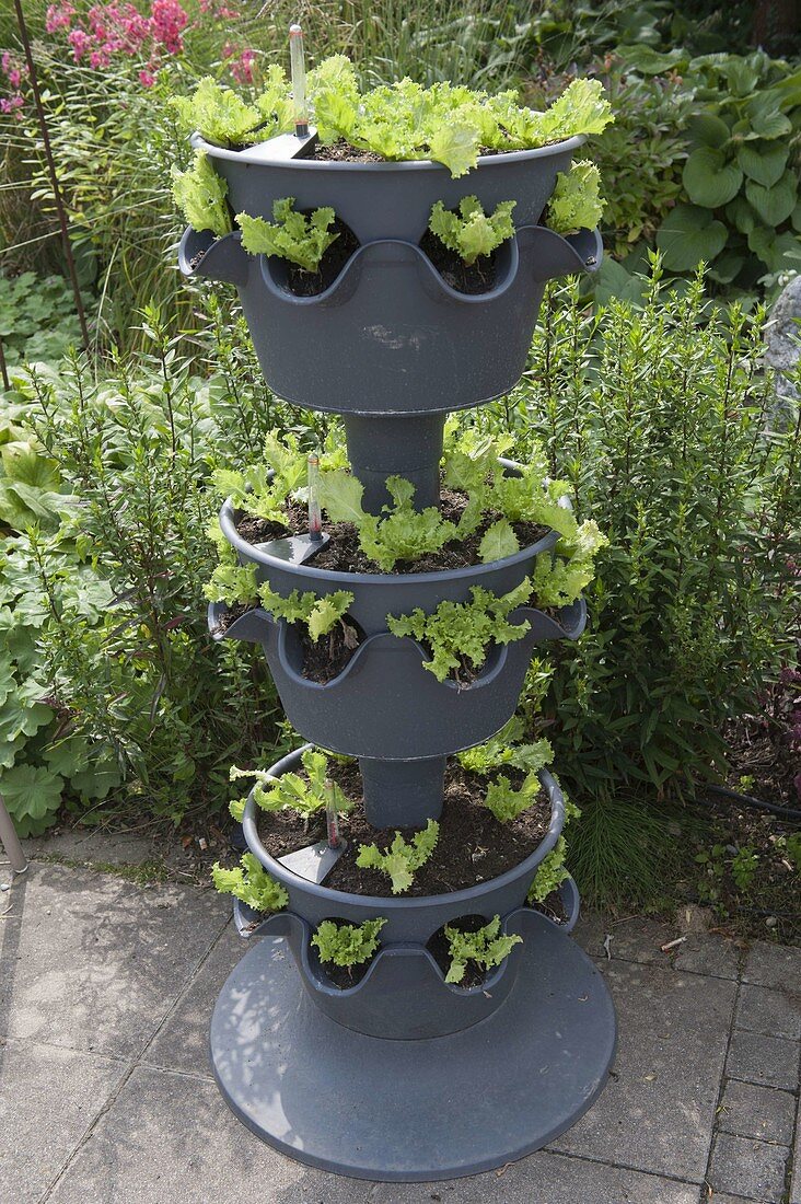 Salad tower made of recycled material Lechuza Cascada