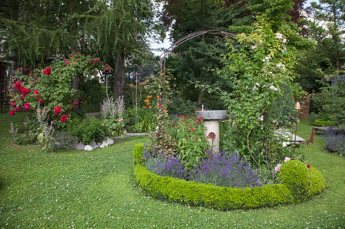 Round bed with bird bath in well-tended garden