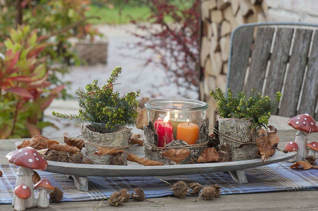 Waldtischdeko mit Rinde, Blättern und Bucheckern-Hüllen