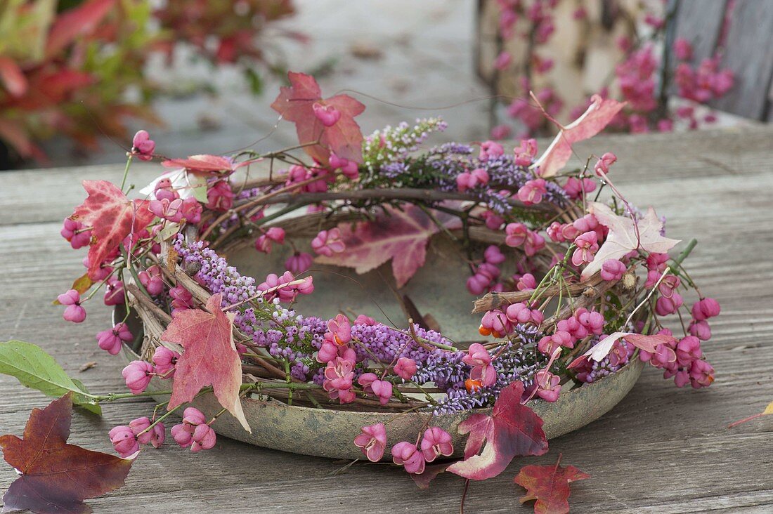 Wreath of Euonymus (spindle tree) branches, Erica gracilis