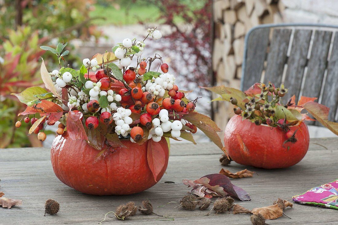 Kürbis-Vasen mit Zweigen von Rosa (Hagebutten), Malus (Zierapfel)