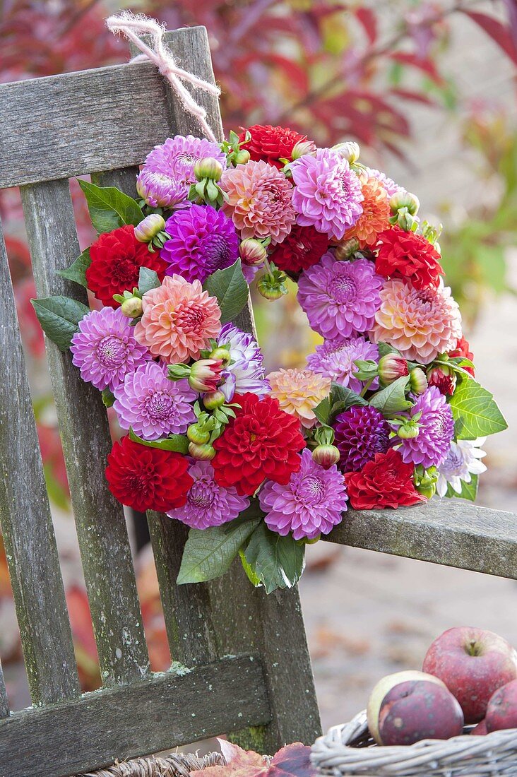 Potted wreath of dahlia (dahlia) on back hung by bank