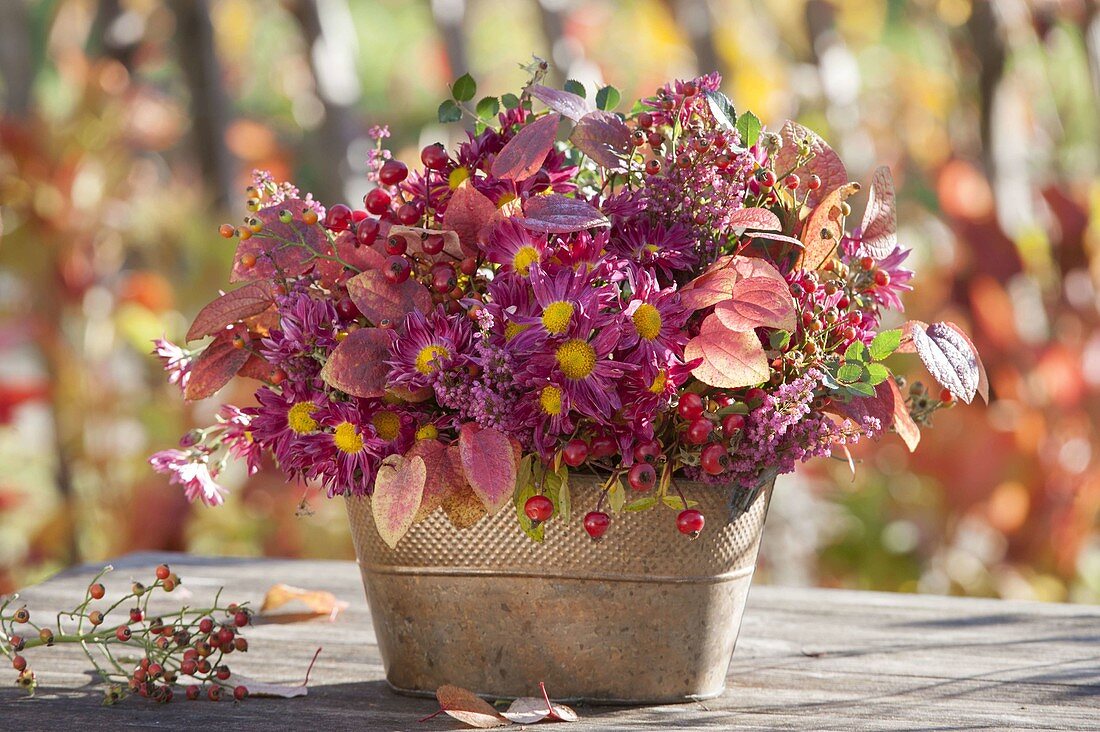 Arrangement of chrysanthemum, autumn leaves, Rose