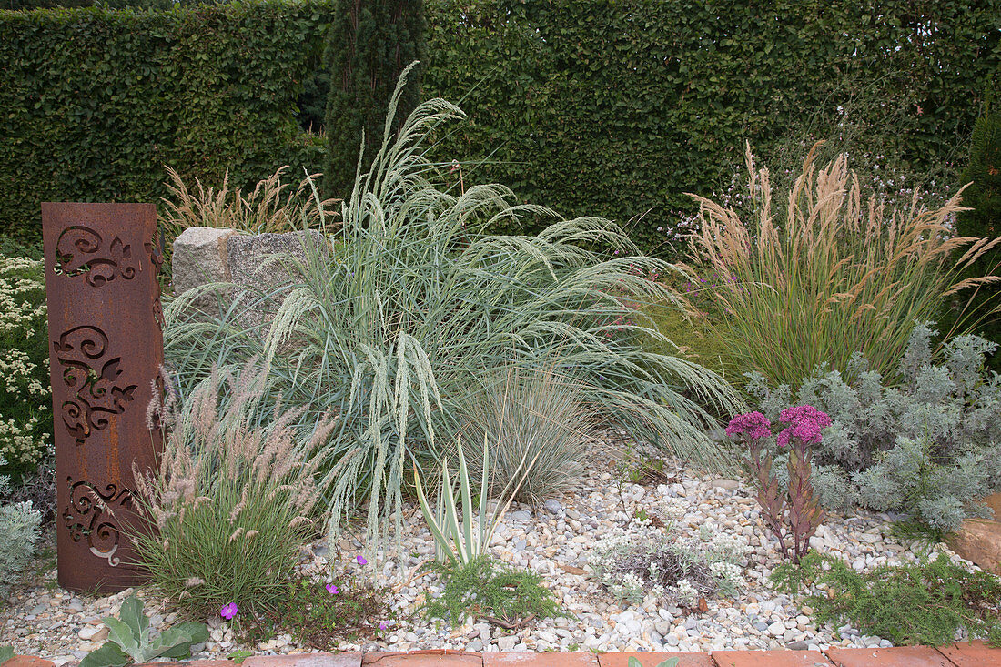Gravel garden with grasses and perennials