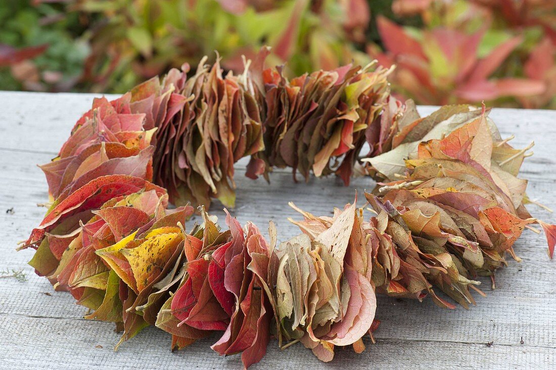 Floristic decorations with finds from the autumn forest