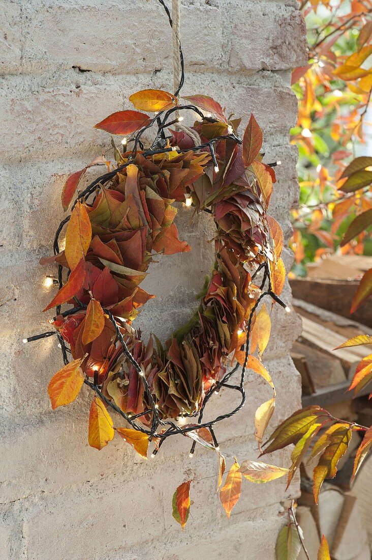 Floristic decorations with finds from the autumn forest