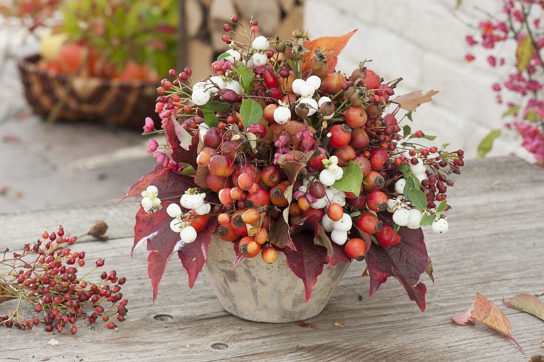 Autumn bouquet of branches with fruit decoration, Malus, Rosa