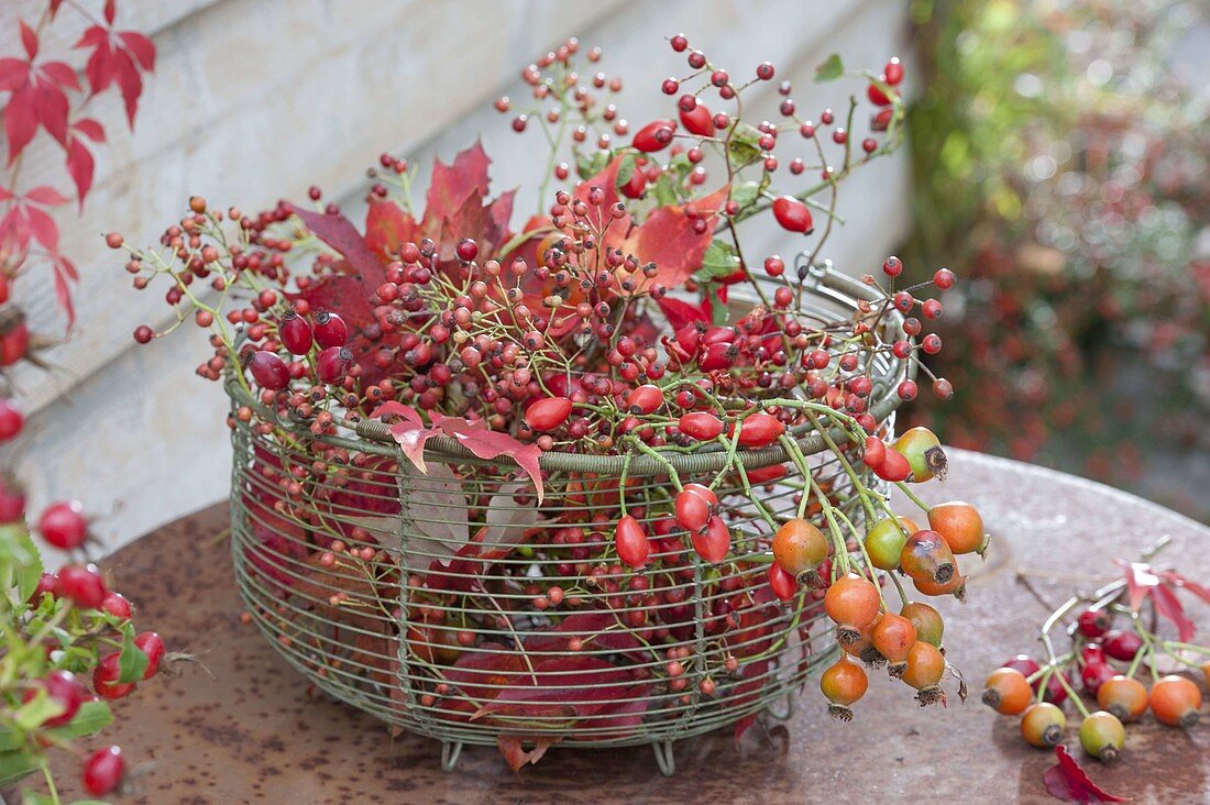 Floristische Dekorationen mit Fundstuecken aus dem Herbstwald