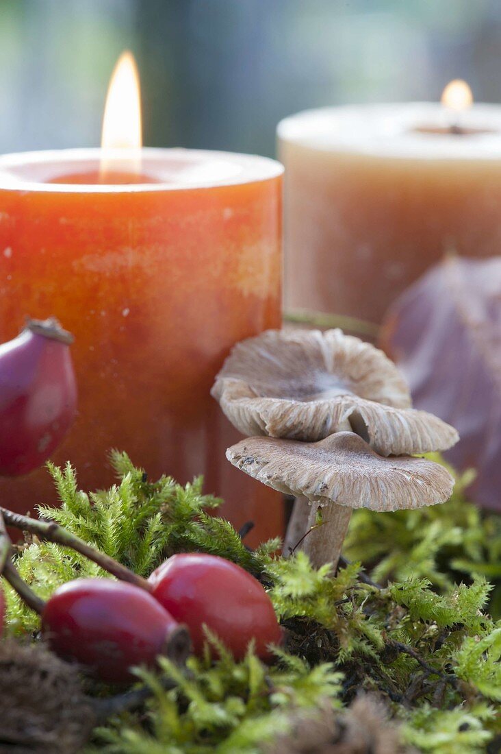 Floristic decorations with finds from the autumn forest