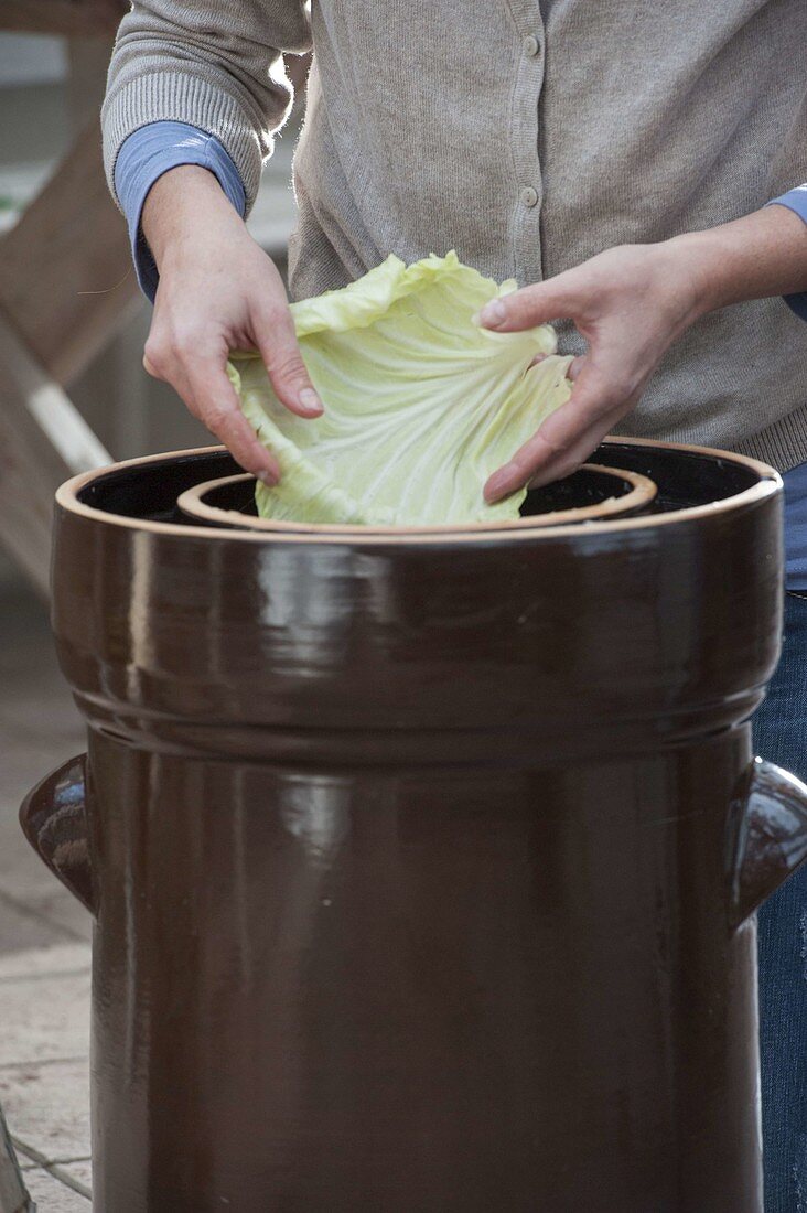 Making sauerkraut yourself