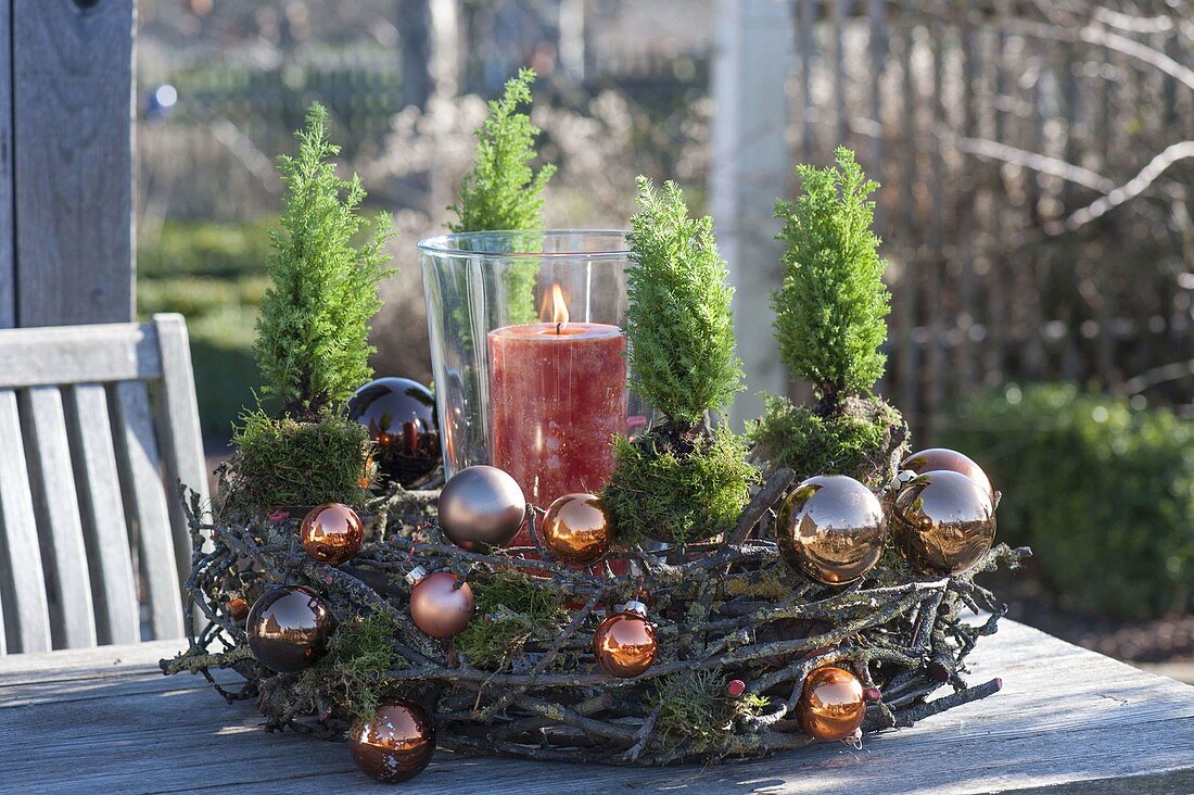 Wreath of Chamaecyparis 'Ellwoodii Gold' branches