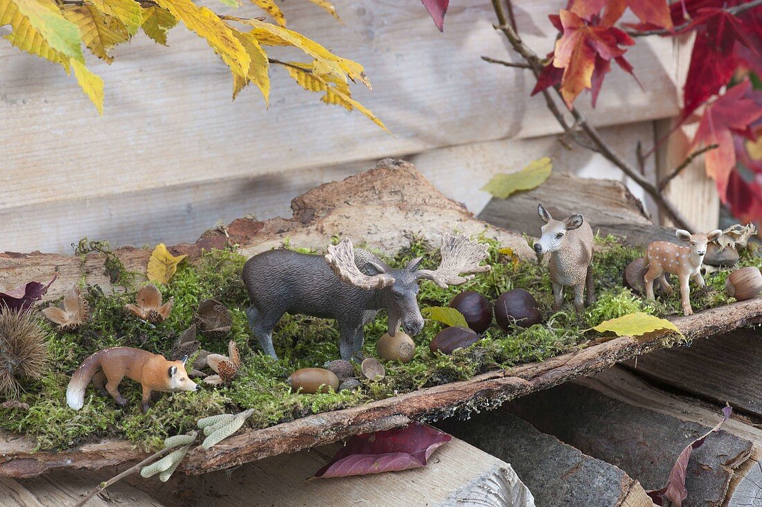 Forest decoration with animal figures moose, deer and fox on moss in bark