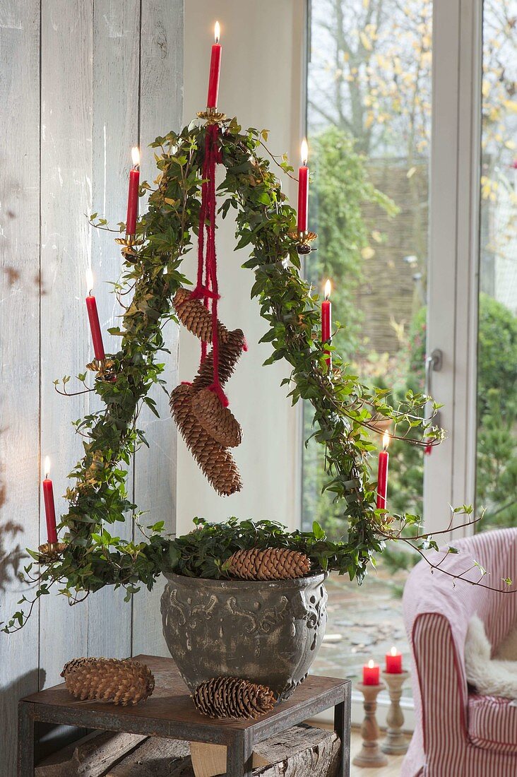 Hedera drawn in Christmas tree shape and with red candles