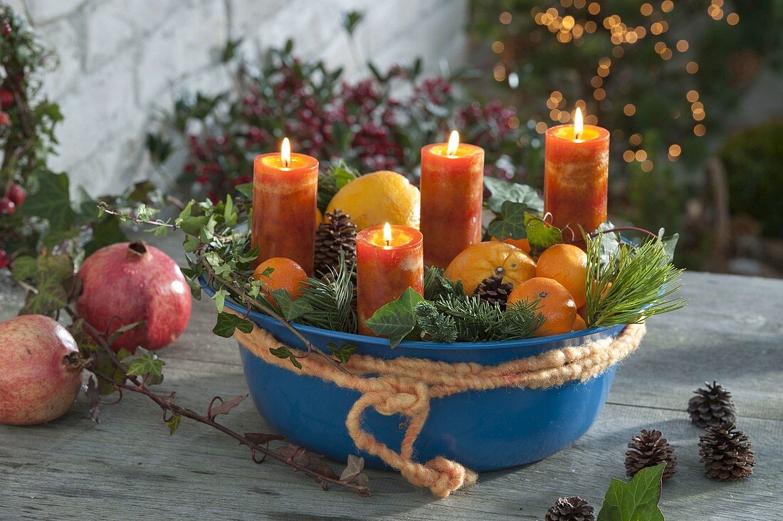 Blue bowl with oranges, clementines, Pinus branches