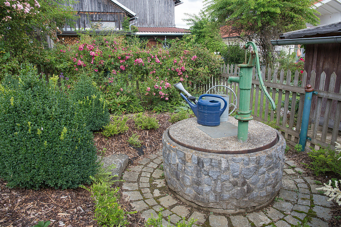 Rural garden with fountain made of natural stone, Schwengelpumpe on concrete cover, Rosa (rambler rose) - overgrown wooden fence, Buxus (box) and Lonicera nitida (honeysuckle) in bed with bark mulch