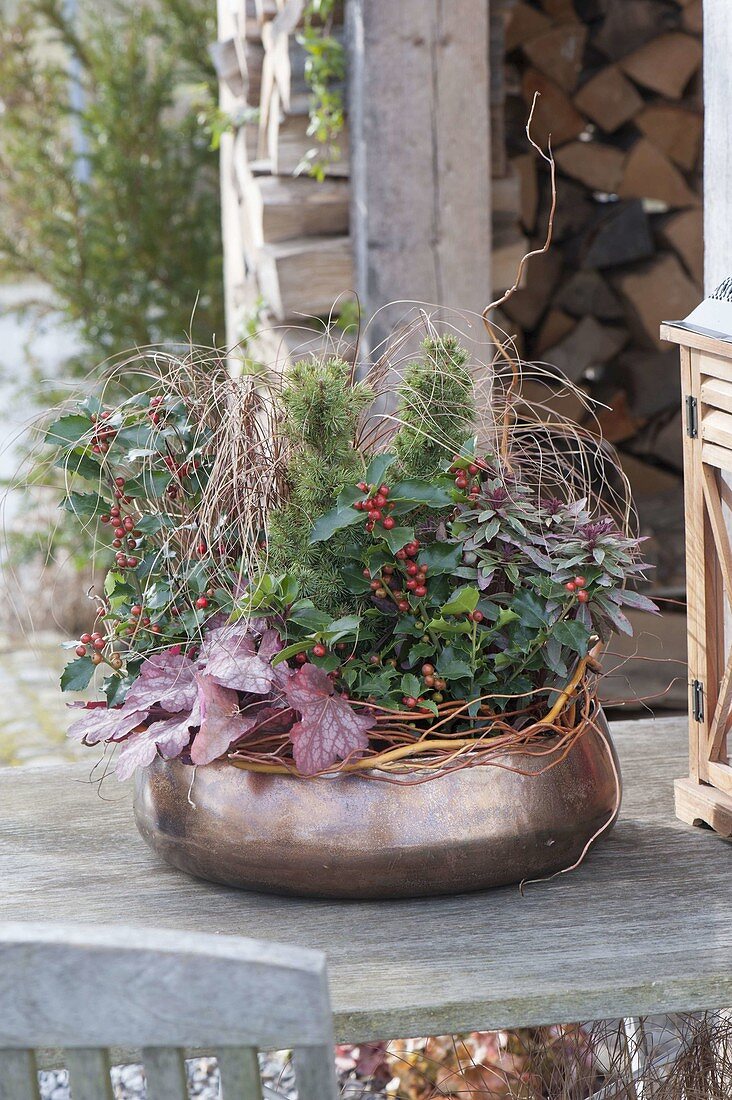 Copper bowl planted with Ilex, Carex petriei 'Bronce Form'