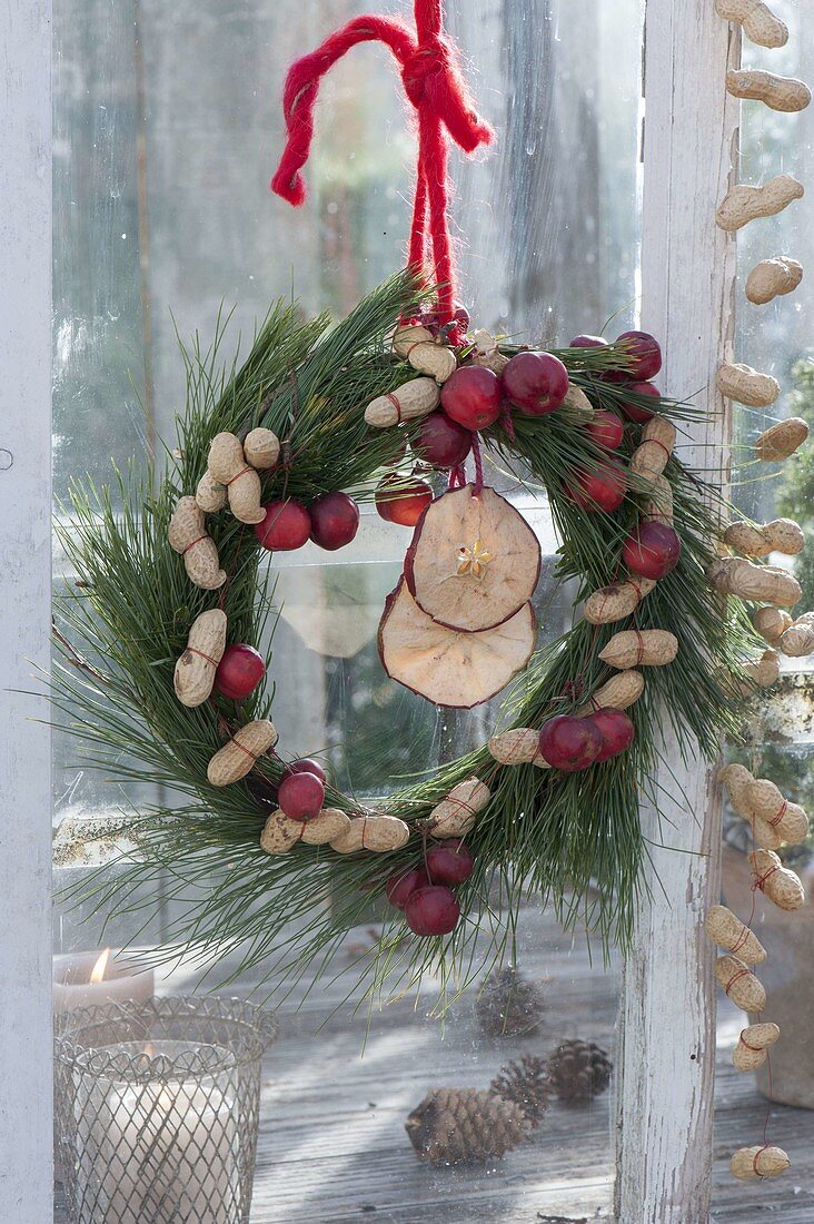 Birdseed wreath made of Pinus (pine) with ornamental apples (Malus)