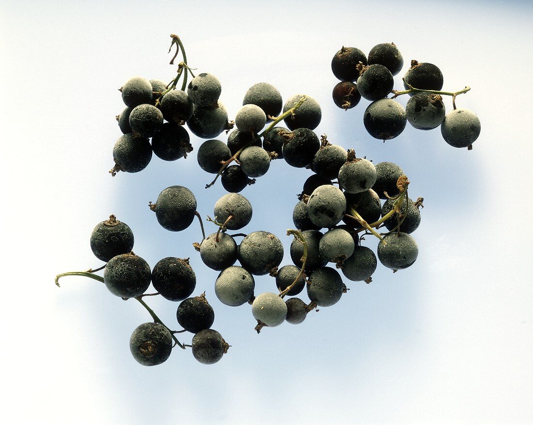 Frozen Black Currants