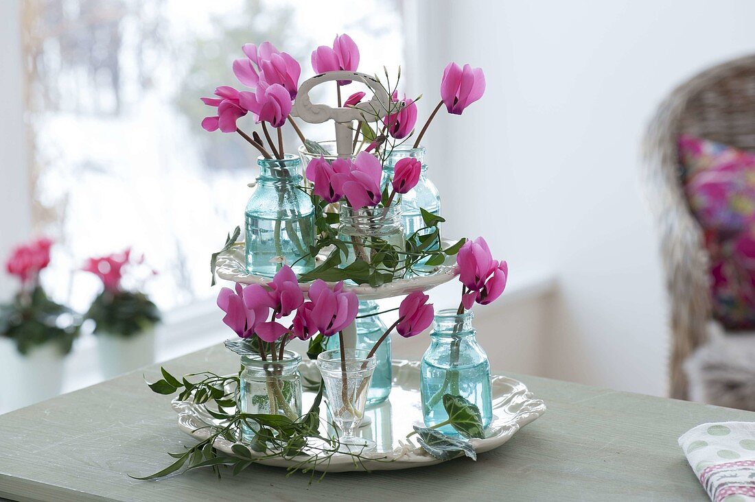 Mini-Straeusschen aus Blüten von Cyclamen (Alpenveilchen) in Gläschen