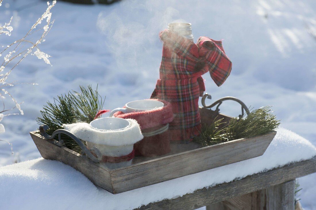 Tray with thermos and cups in winter garden