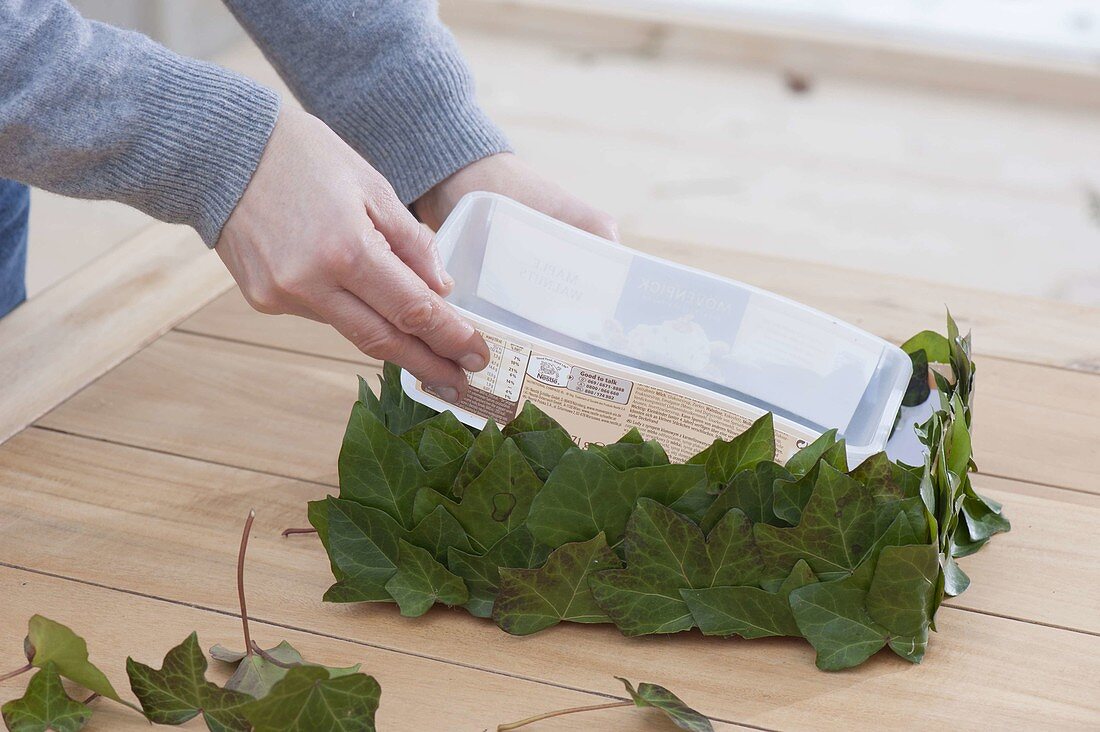 Gift box stuck with ivy leaves