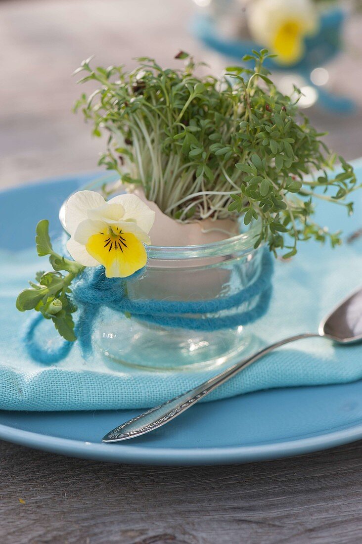 Cress (Lepidium) seeded in eggshell as an edible table decoration