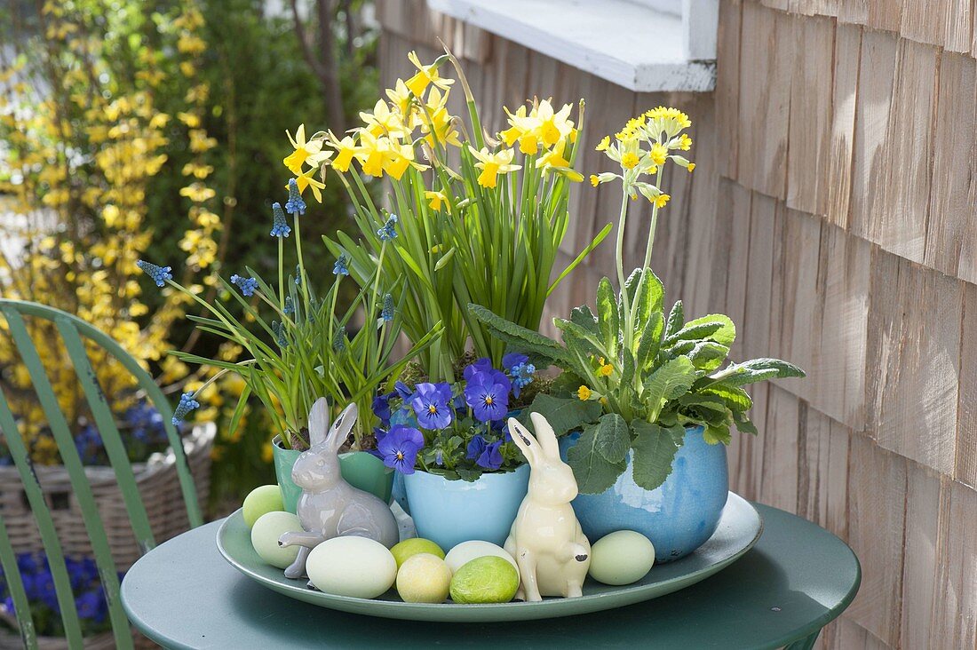 Easter Bowl with Narcissus 'Tete a Tete', Primula veris