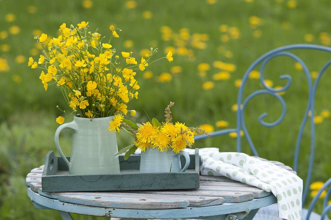 Bouquets freshly picked from the meadow, Ranunculus acris