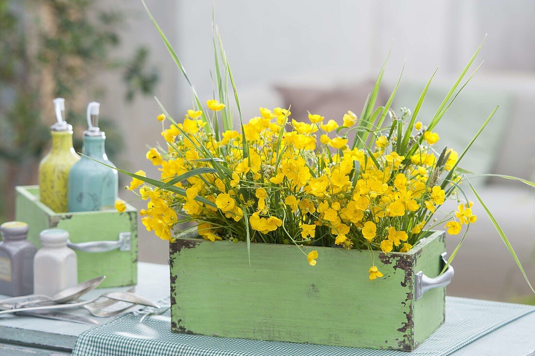 Bouquets of Ranunculus acris and grasses