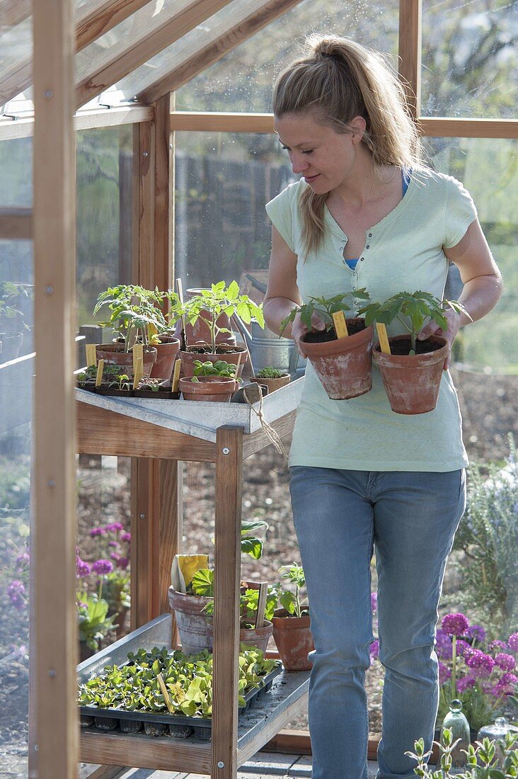 Build and set up the greenhouse