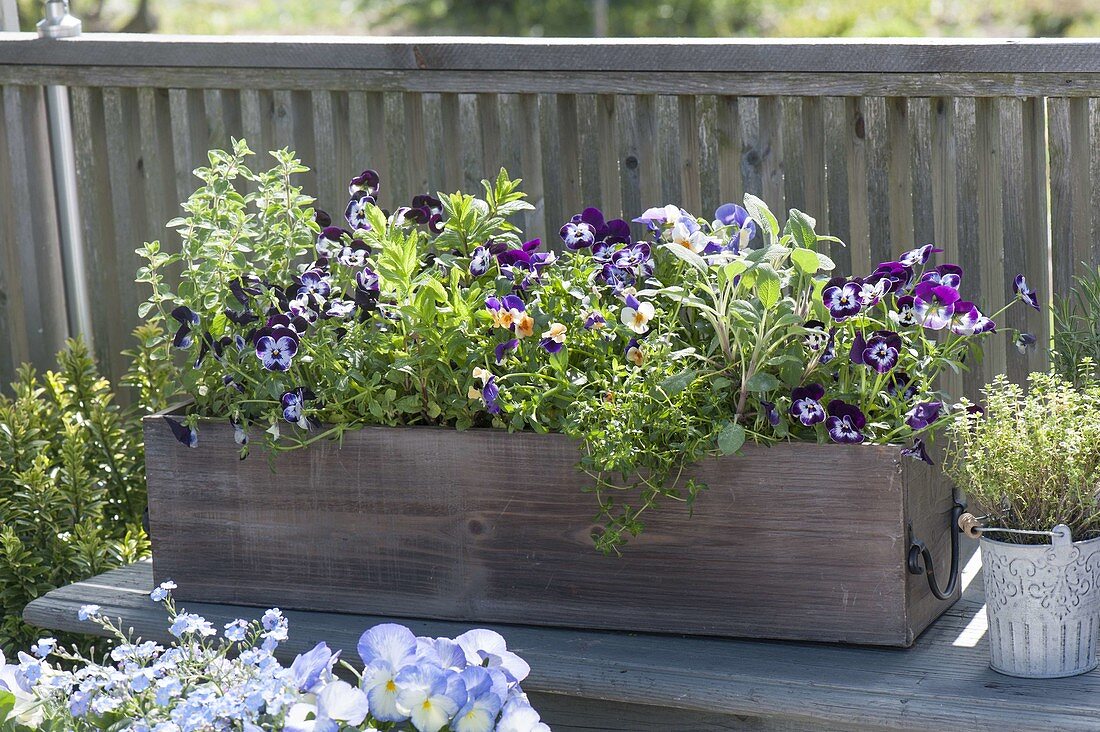 Wooden box with herbs and edible flowers