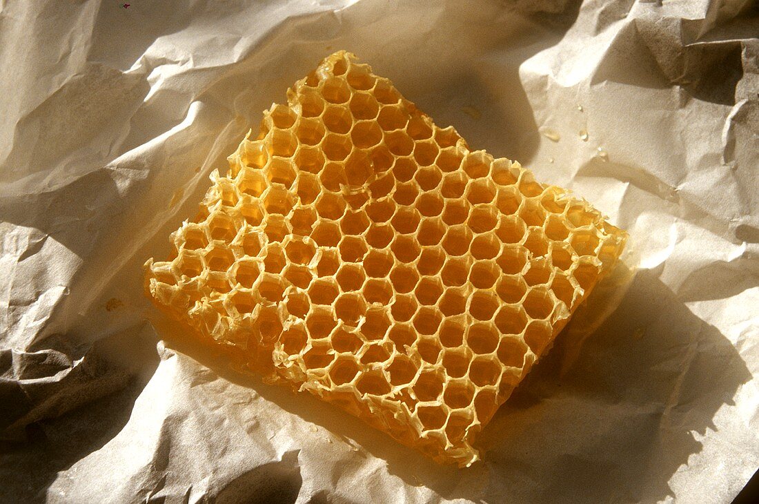 Honeycomb on paper 