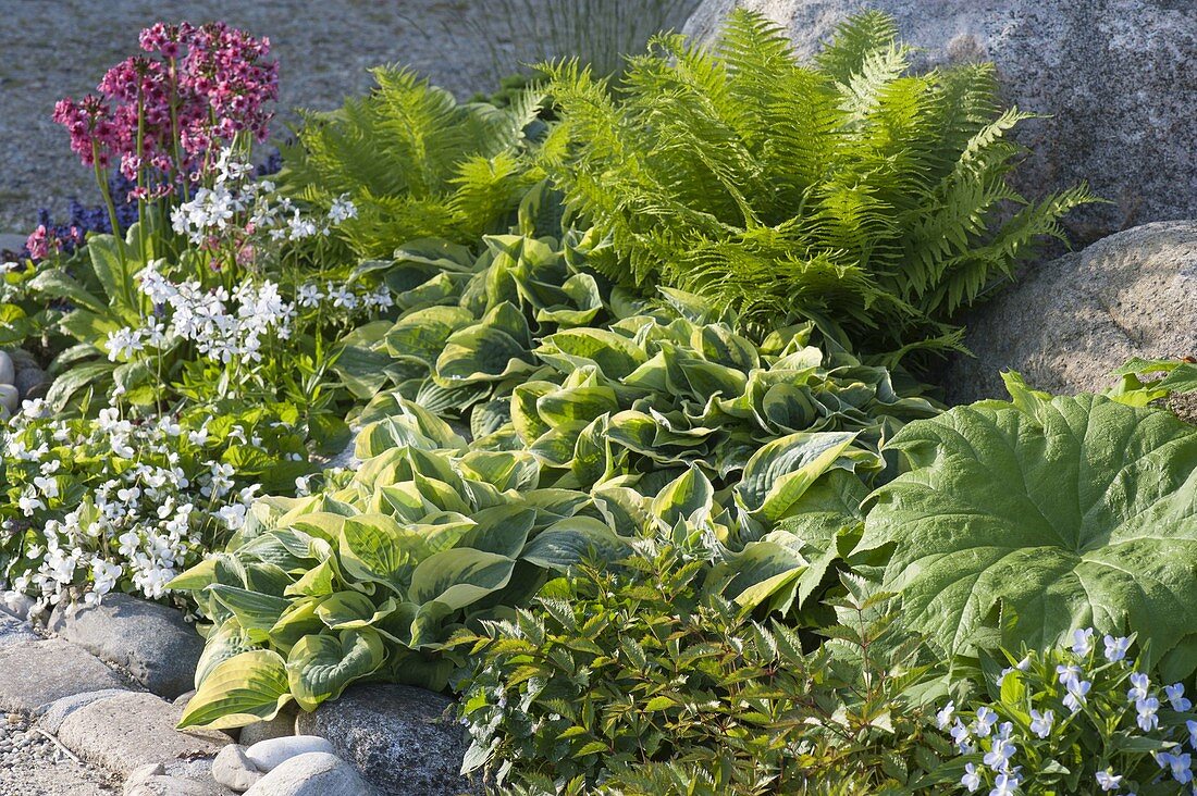 Front yard with perennials and natural stones