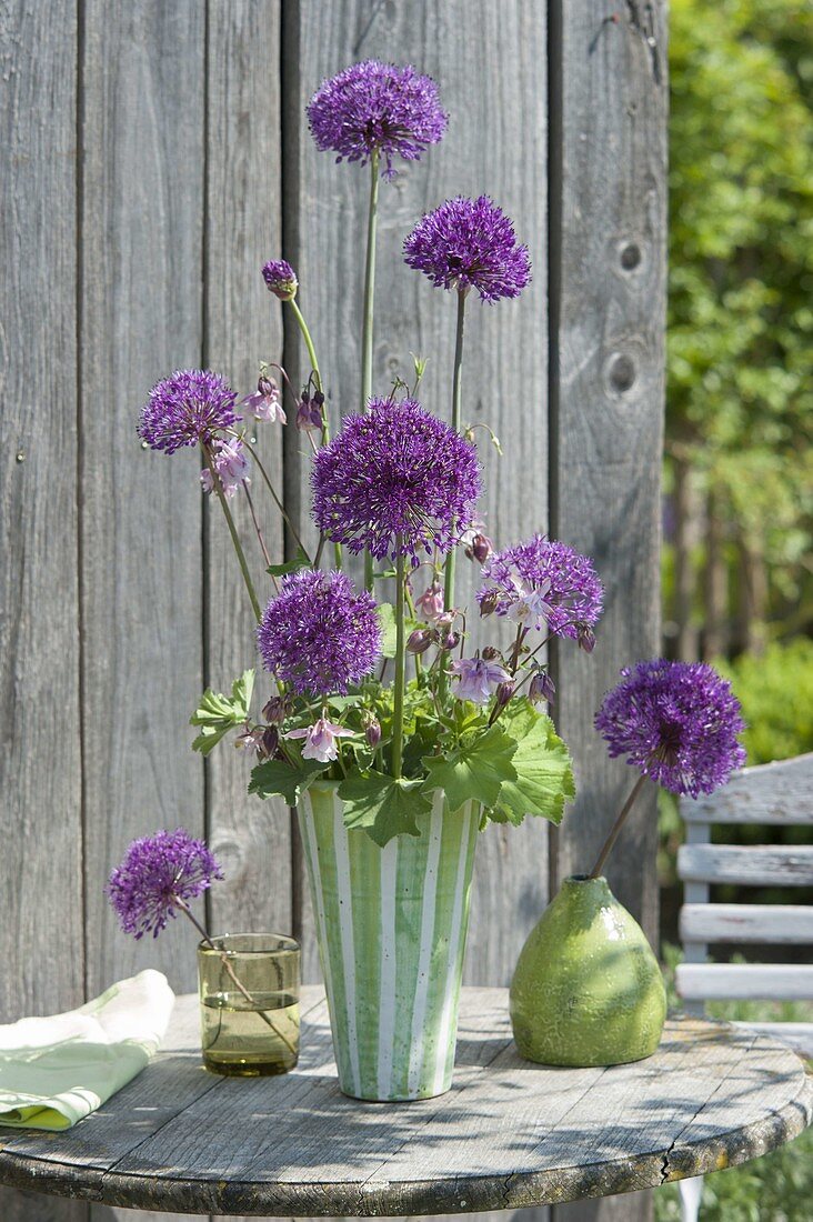 Ungewoehnlicher Strauss aus Allium 'Purple Sensation' (Zierlauch)