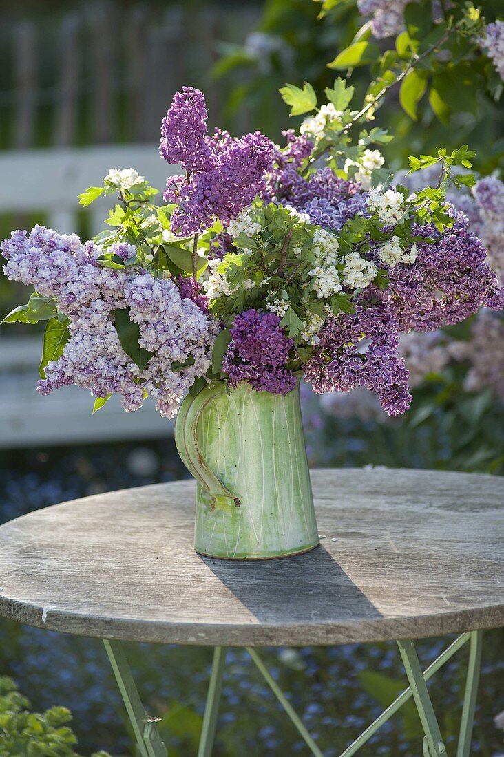 Luscious bouquet of different Syringa (lilac) varieties