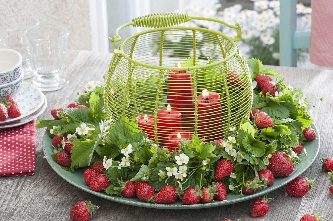 Wild strawberries (Fragaria) leaves and flowers wreath