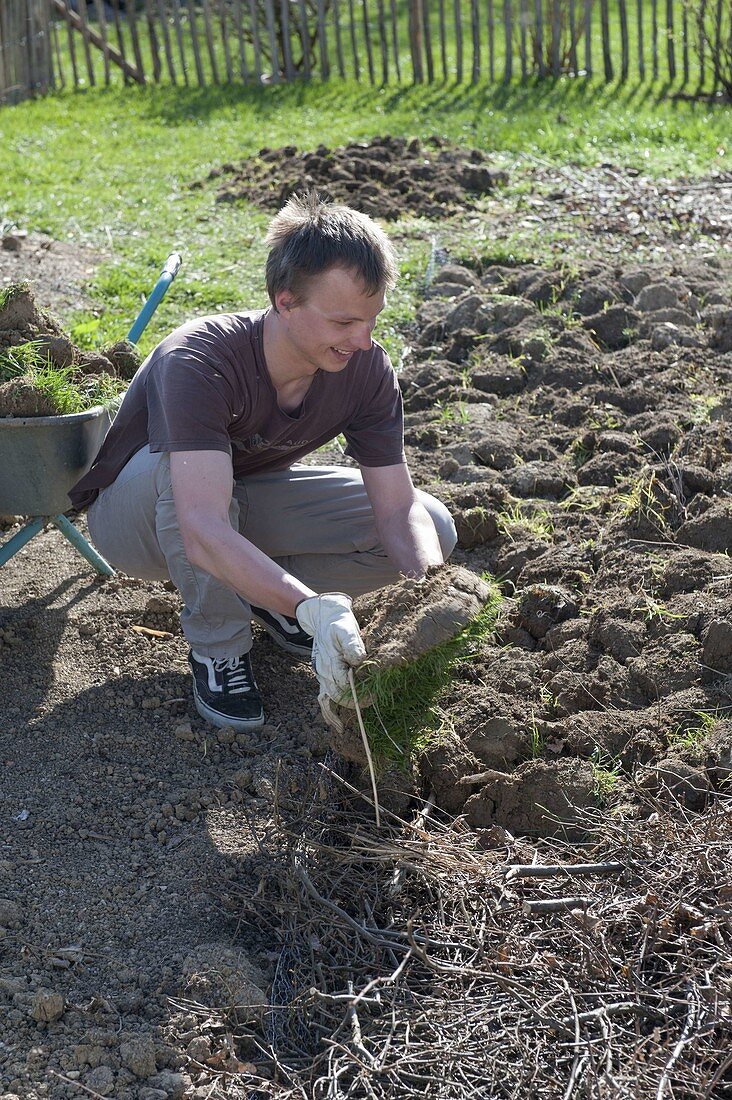 Create and plant the hillside