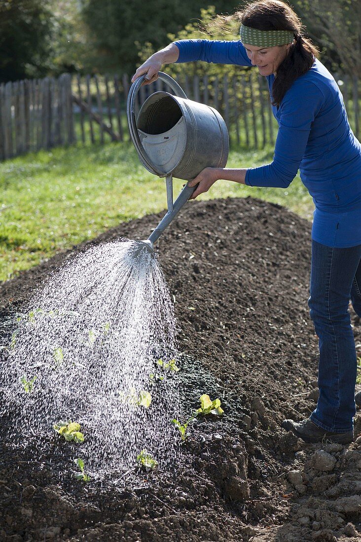 Create and plant the hillside