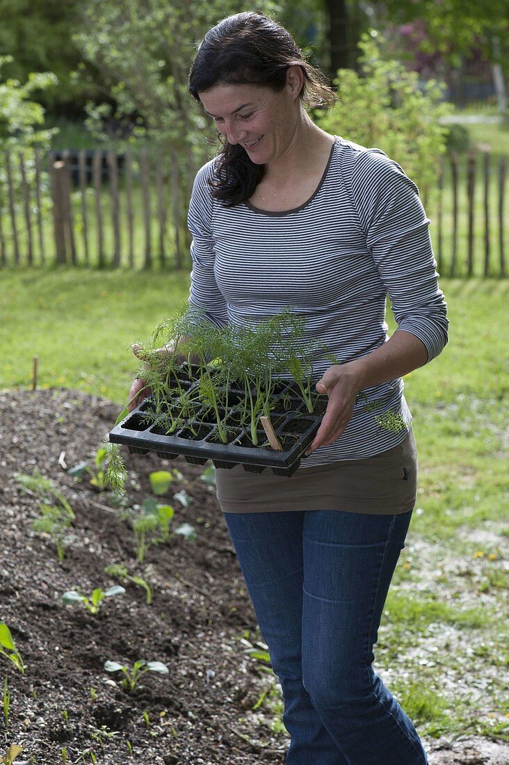 Create and plant the hillside