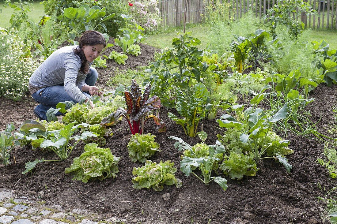 Create and plant the hillside