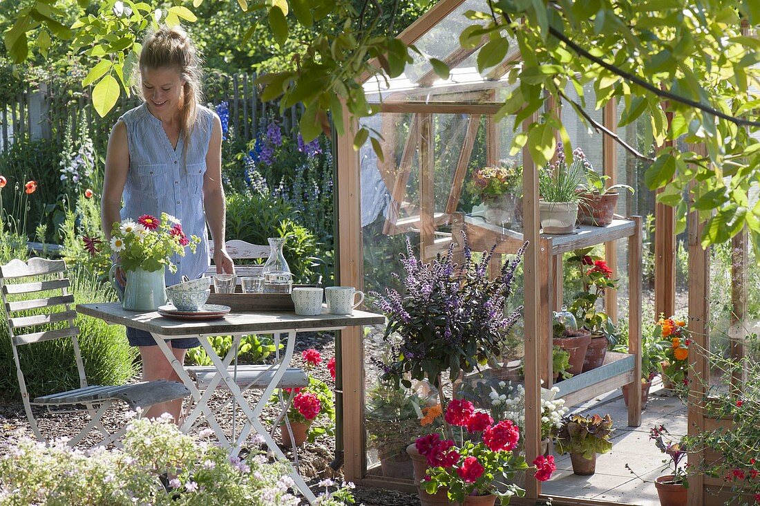 Small seat at the greenhouse