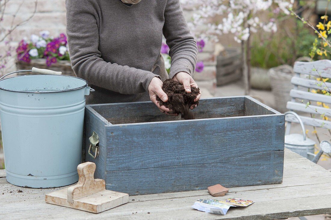 Summer flower meadow in wooden box