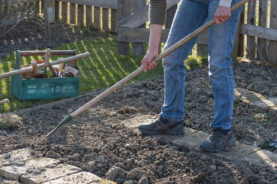 Prepare soil before sowing vegetables