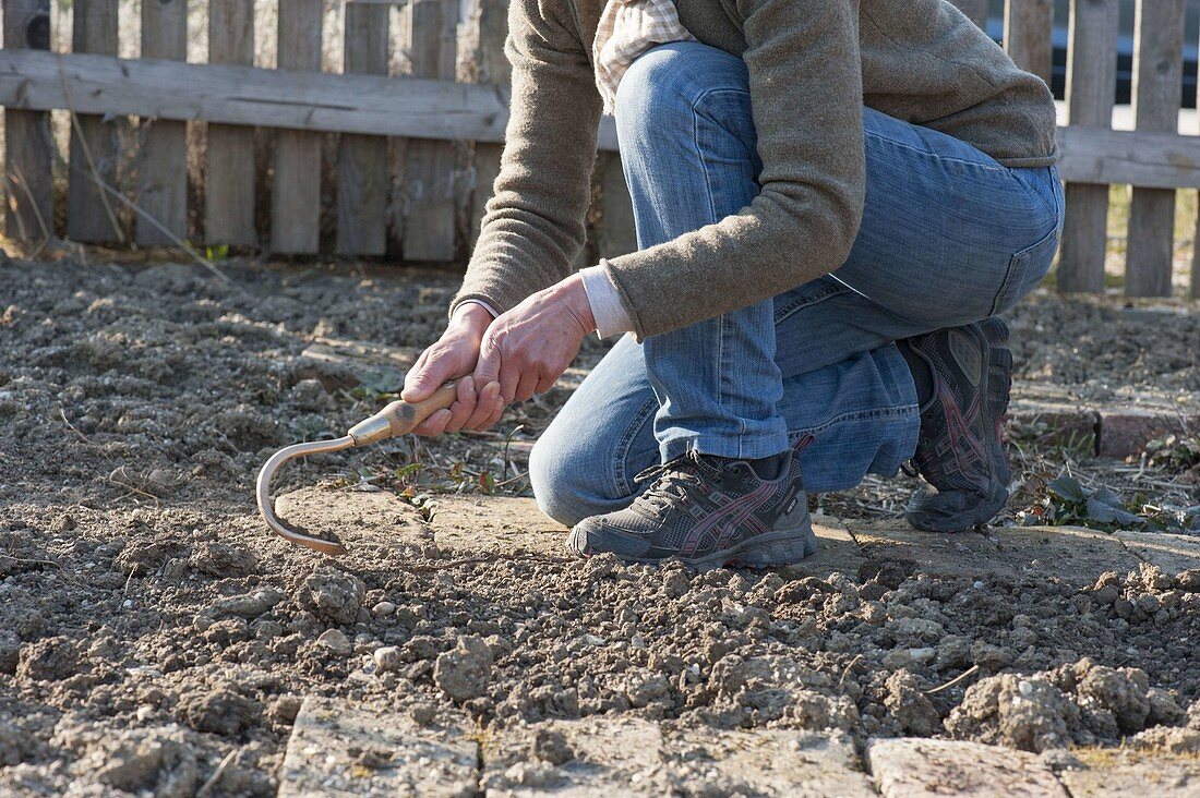 Prepare soil before sowing vegetables