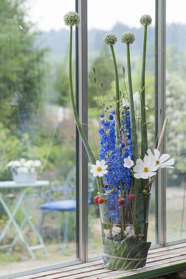 Modern arrangement in glass, delphinium (delphinium), Cosmos