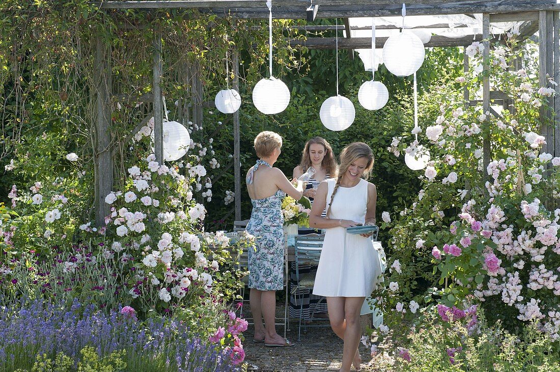 Pavillon mit Rosen und wildem Wein