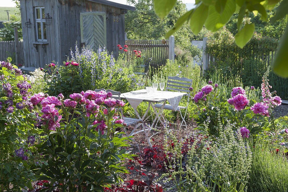 Seating between flowering perennials