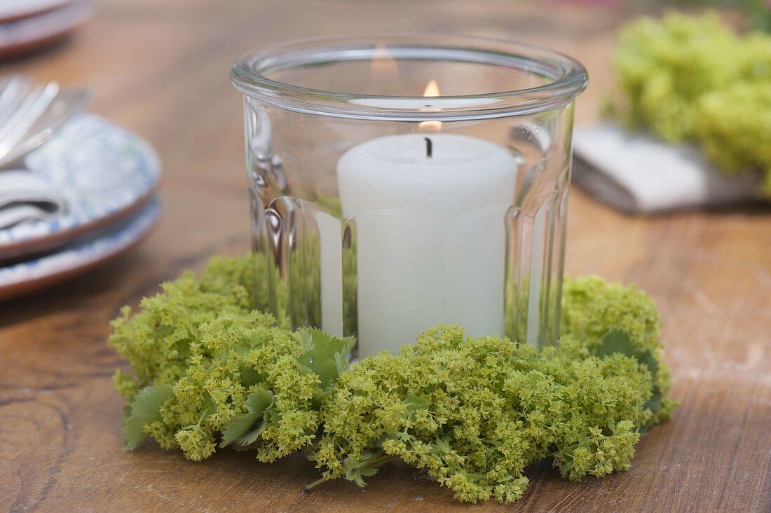 Lantern with Alchemilla (lady's mantle) flowers wreath