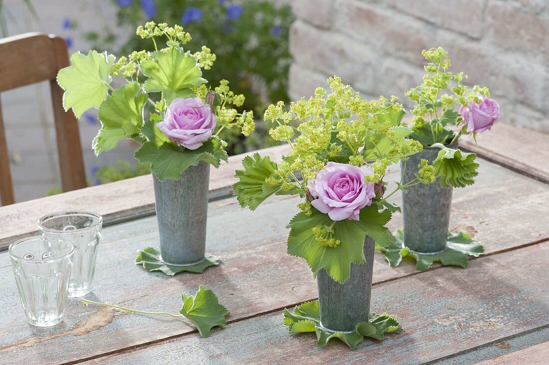 High zinc cups as vases with Alchemilla mollis and roses